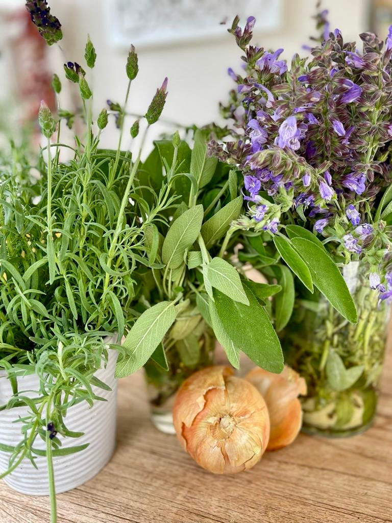Die Heilkräfte der Natur: Energetische Einflüsse von Pflanzen und Blumen im Zuhause