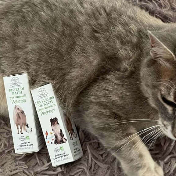 Bach Elixier für ängstliche Haustiere BIO - IRIS AURA SHOP