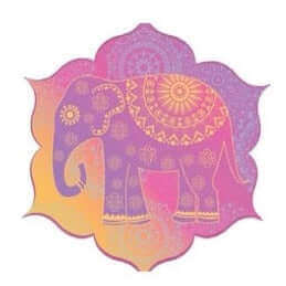 ChaiVitality - eine besondere Teemischung - IRIS AURA SHOP