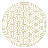 Flower of Life - Meditation - eine besondere Teemischung - IRIS AURA SHOP