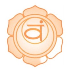 2. Chakra - eine besondere Teemischung aus der Chakra Kollektion - IRIS AURA SHOP