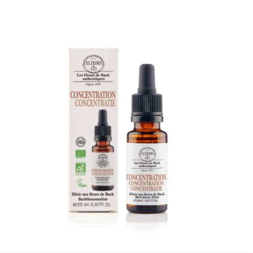 KONZENTRATION (Concentration): Natürliches Elixier für geistige Klarheit