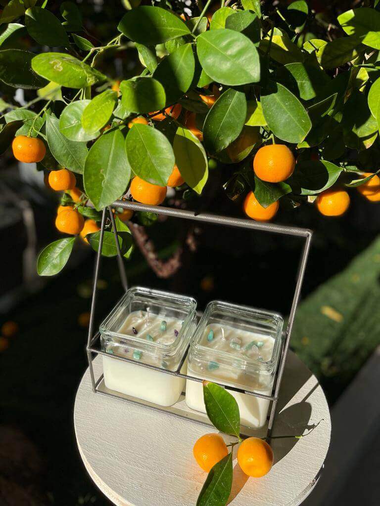 Sojakerzenset handgefertigt gegen Moskitos - Spezialedition Sojawachs 2 x 432gr. - IRIS AURA SHOP