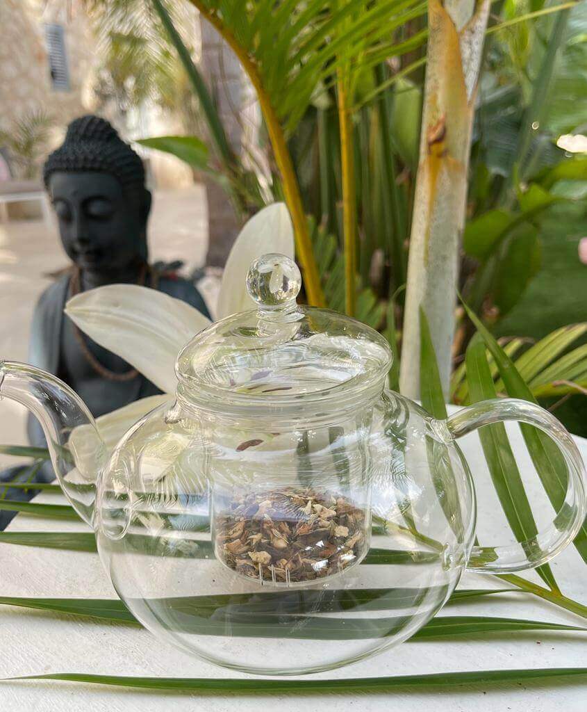 Glas-Teekanne mit Glas-Filter für lose Teekräuter und Deckel - IRIS AURA SHOP