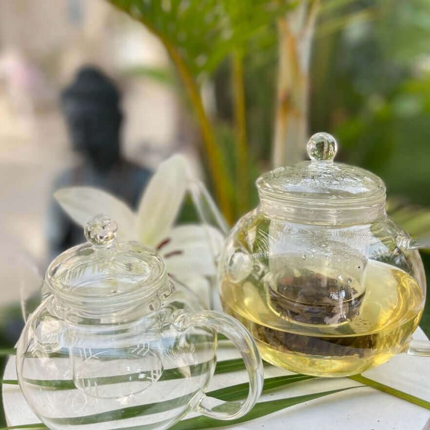Glas-Teekanne mit Glas-Filter für lose Teekräuter und Deckel - IRIS AURA SHOP