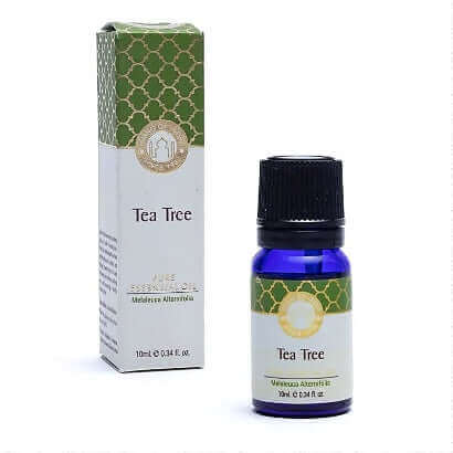 Huile essentielle d'arbre à thé Song of India : Pureté naturelle et protection pour votre maison !