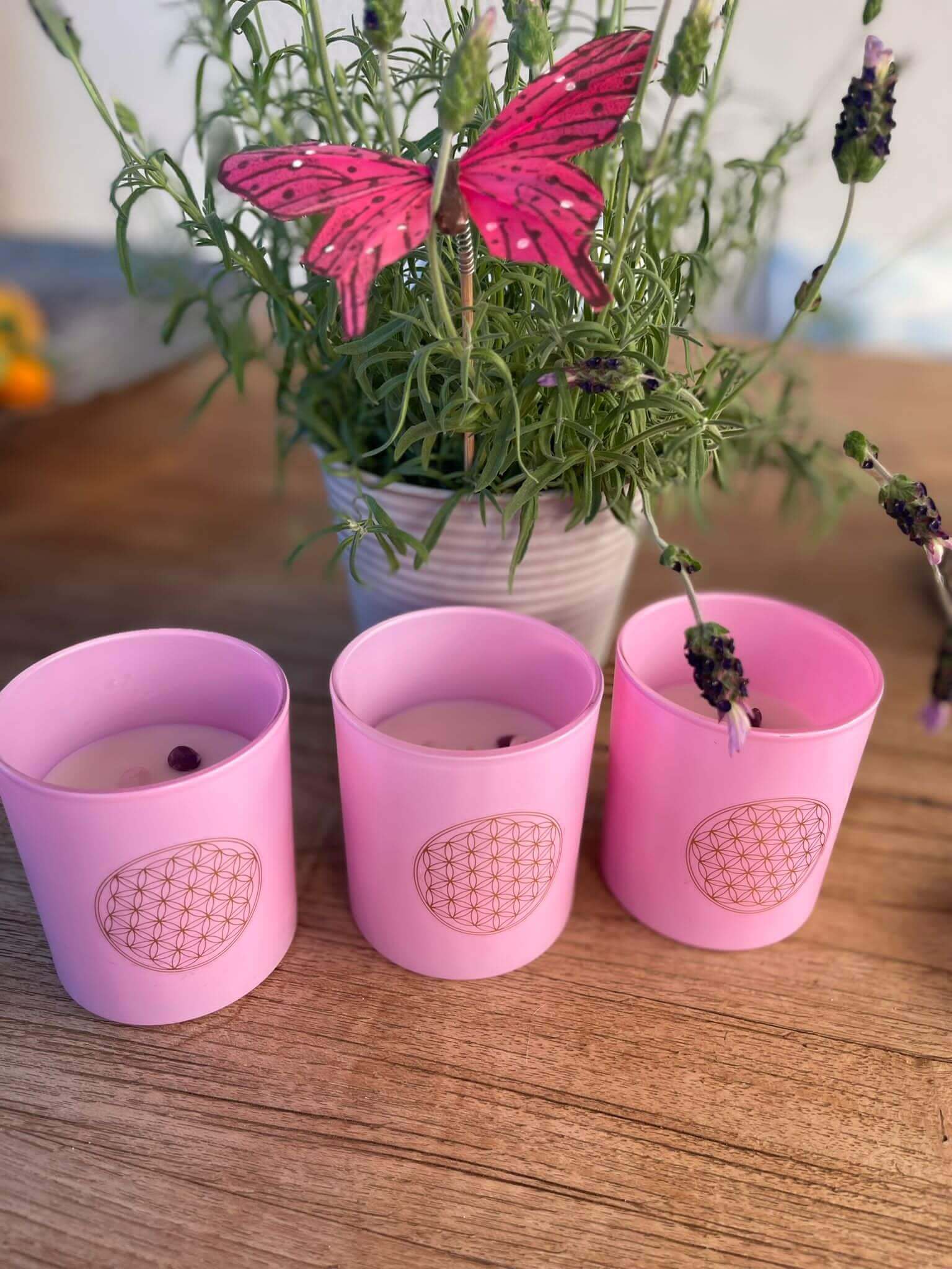 Kerze "antistress" mit Rosendurft in rosa Glas mit Holzdeckel - IRIS AURA SHOP